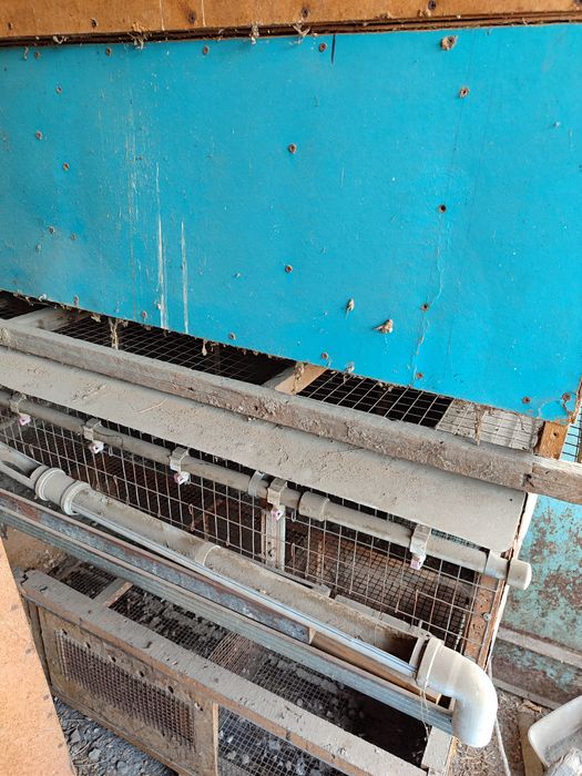 Брудера для птицы