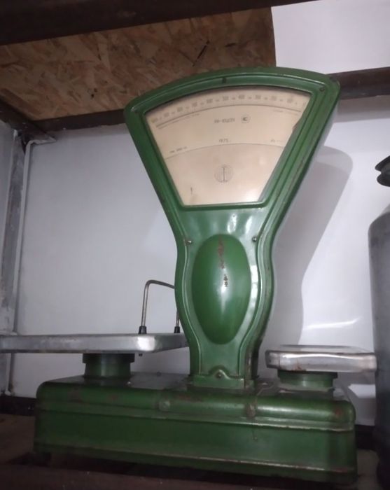 Индюки Куры Другое