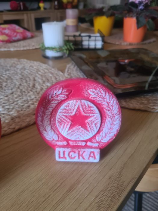 За фенове  на цска