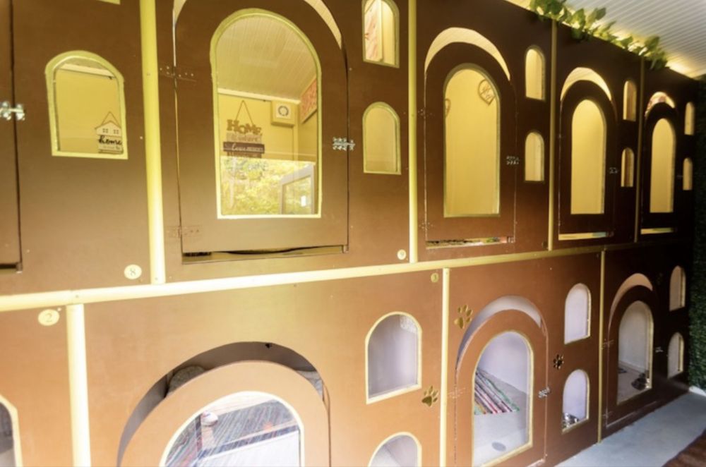 Хотел за кучета и Груминг в София