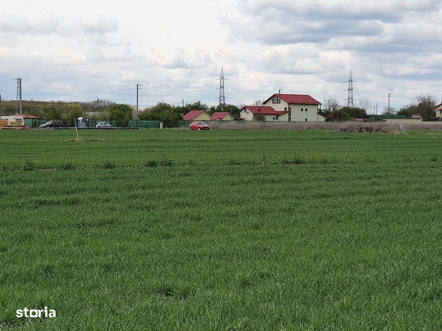 Teren Balotesti, vecinatate padure Sri,19500 euro