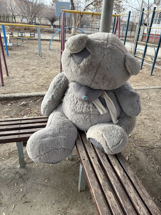 Теды игрушка новый сатылыды