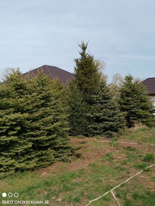 Срочно продам самовывоз