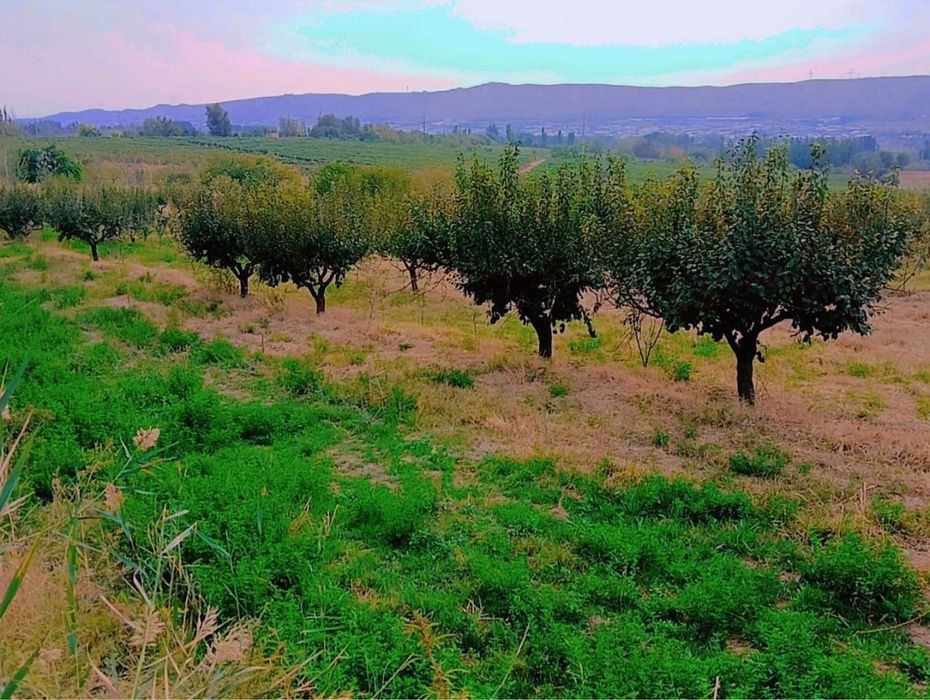 Бог сотилади 1г кадастр килинган номингизга утади