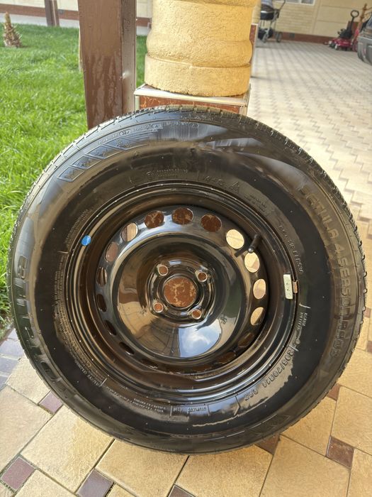 Cobalt 14 diska balon Rotalla