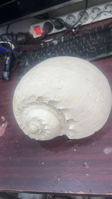 Лава  и каряга ррро