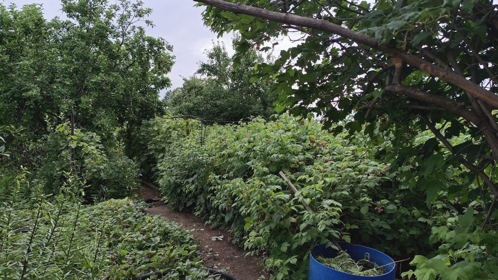 Продам дачу 16соток, город Алга 22 коллектив