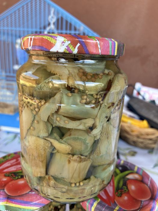 Hribi si iutari la otet