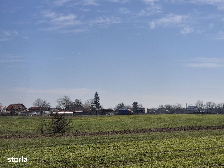 Trestieni - Ulmi, vanzare teren 1.663mp, intravilan