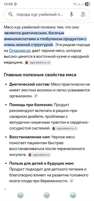 Чёрные куры породы ухуйлюй