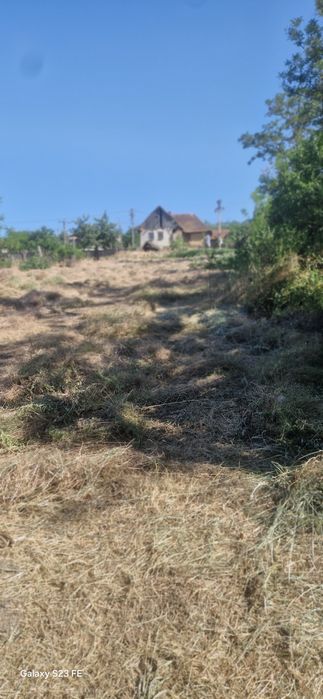 Teren pentru casă cu gradină