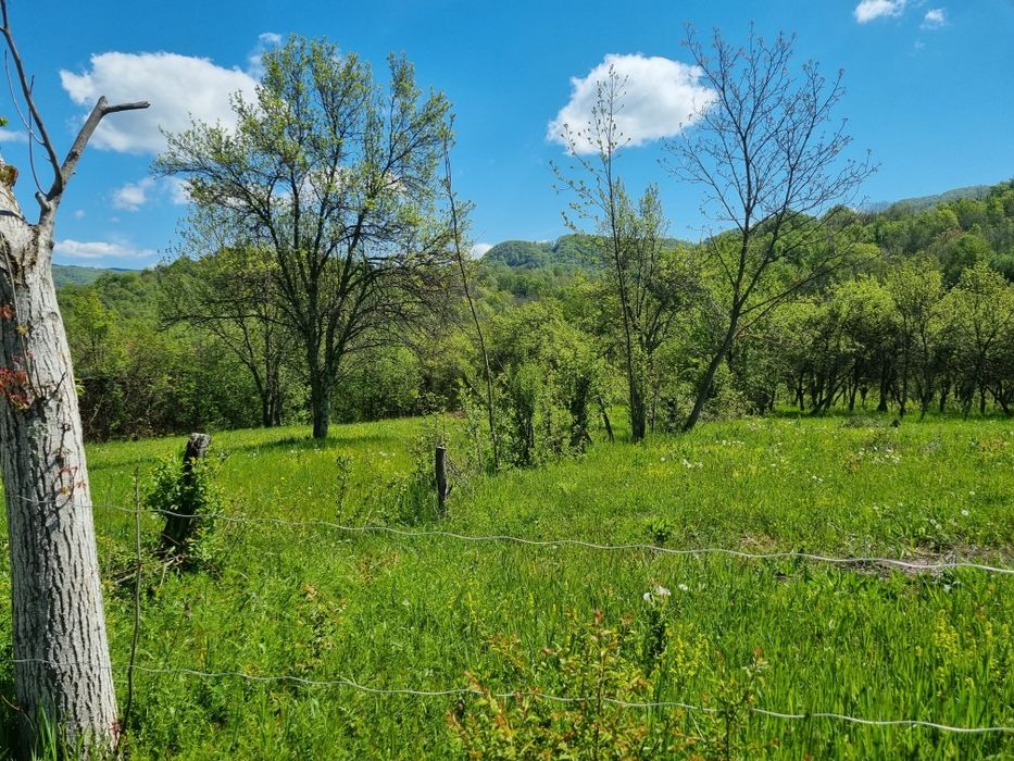 Teren in zona Calimanesti-Caciulata, cu iesire la parau