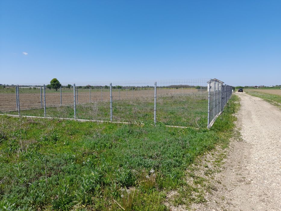 Snagov Siliștea 500mp