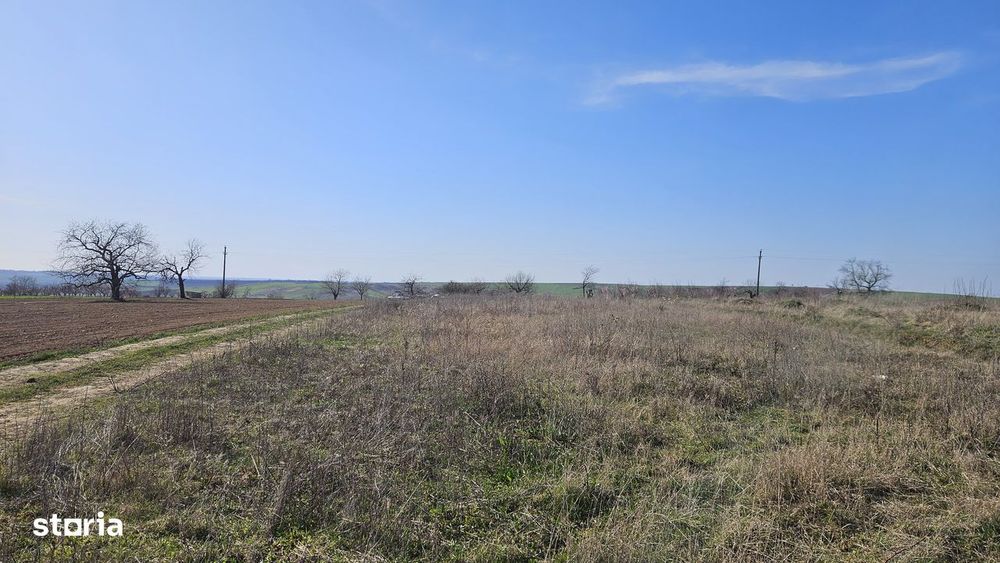 Teren intravilan view superb 6700 mp – oportunitate rară lângă Oradea