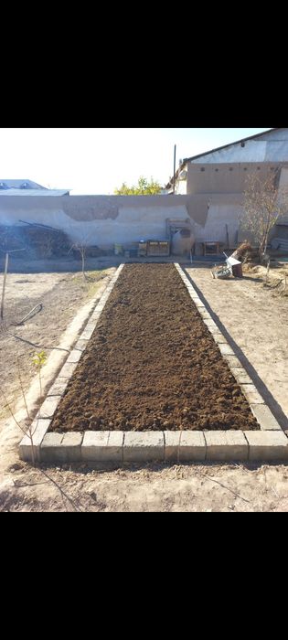 Biogumus va California qizil yomg'ir chuvalchangi