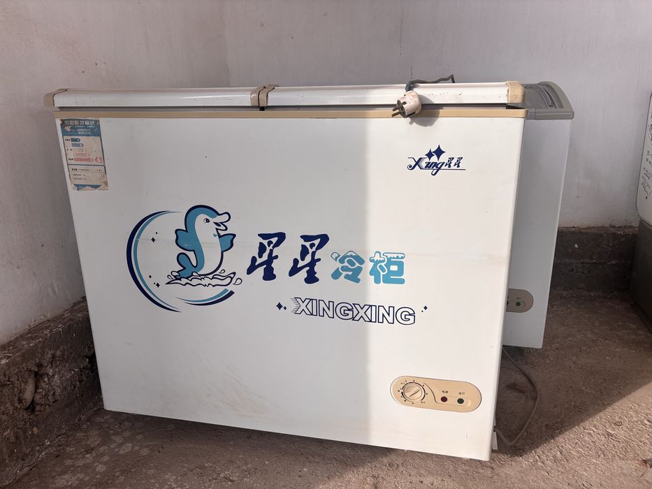 витрина, морзильники