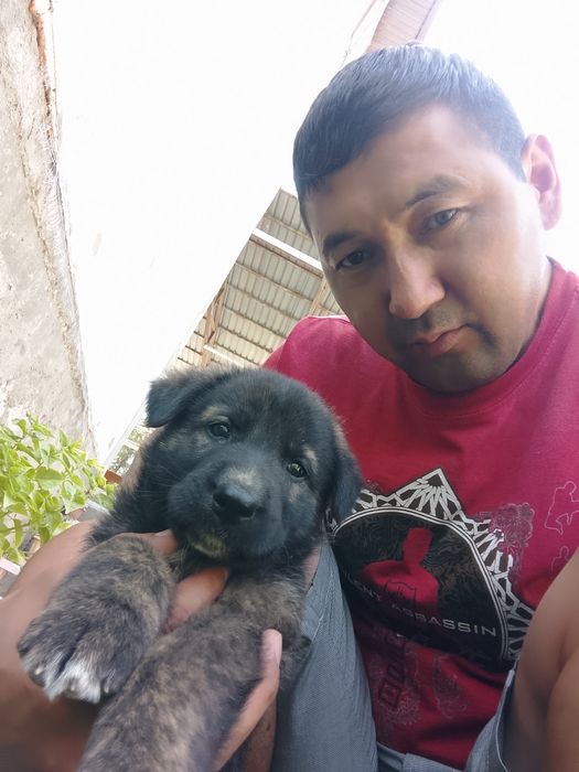 Сабаку харошие руки