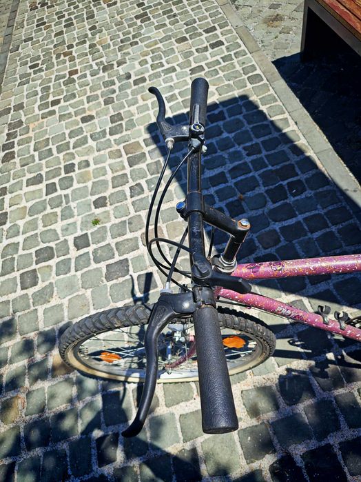 Bicicleta Mtb retro vintage pro line