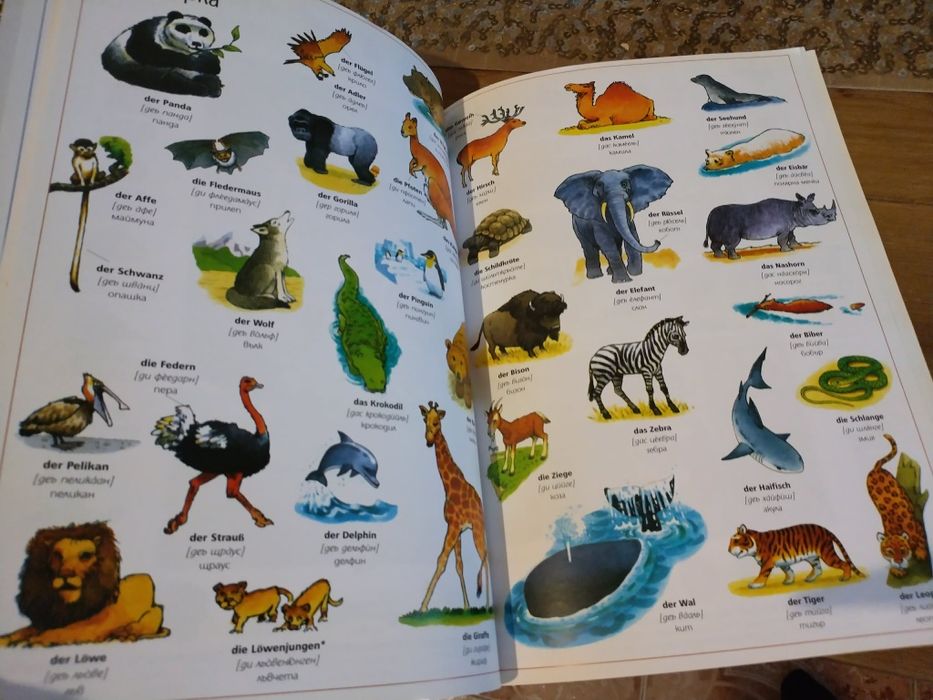 Илюстрован речник на немски език