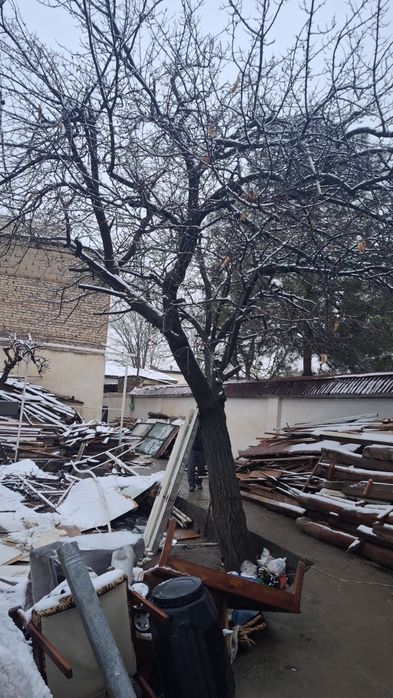 Ёгоч тахталар сотилади СРОЧНИГА