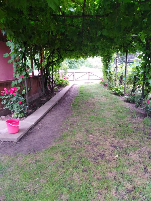 Casă la țară întreținută, 3 camere + teren generos – Trifești județul Iași