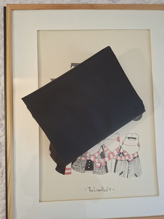 Сумка - переноска А1,  через плечо