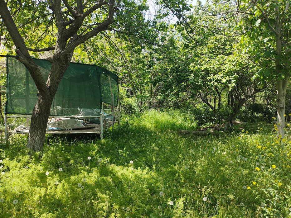 Дача.на таш море.