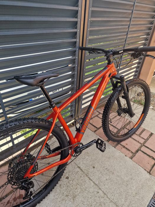 Bicicleta MTB Carbon