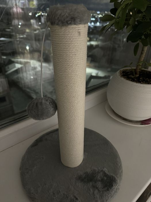 Коктирезка для кошек