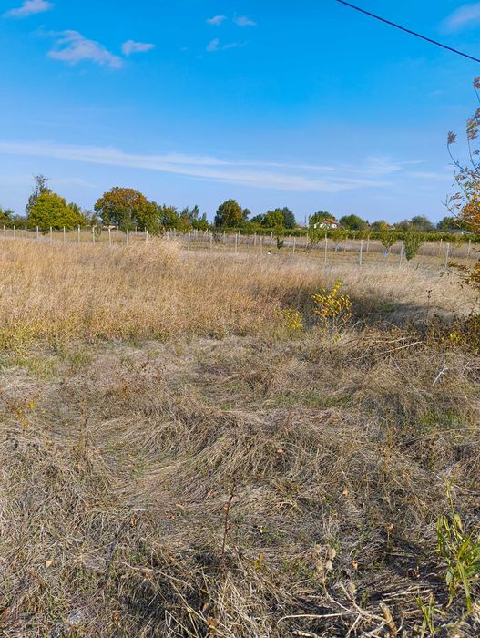 Продава се Парцел в с. Козаново, Област Пловдив - 759 кв.м за 40 €/кв.м - Снимка #3