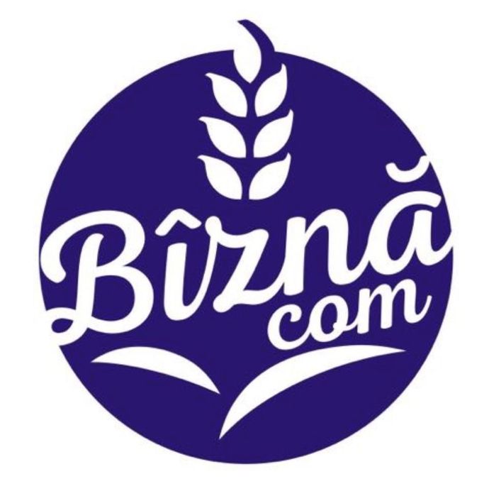 Peleti rășinoase (brad) HS Timber - Schweighofer