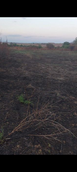 Дворно място 2000 кв.м. в село Миладиновци област Ямбол