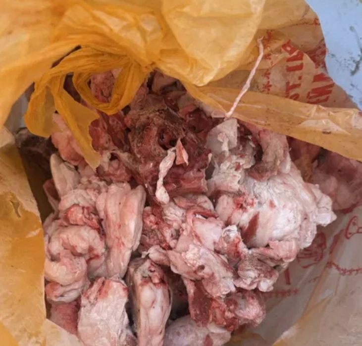 Отходы для собак  бесплатно