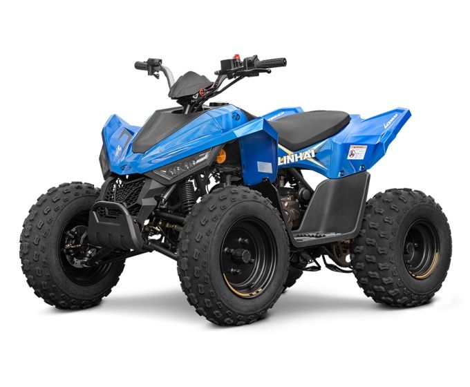 ATV Linhai 110 (nu segway,can am,polaris,cf moto)
