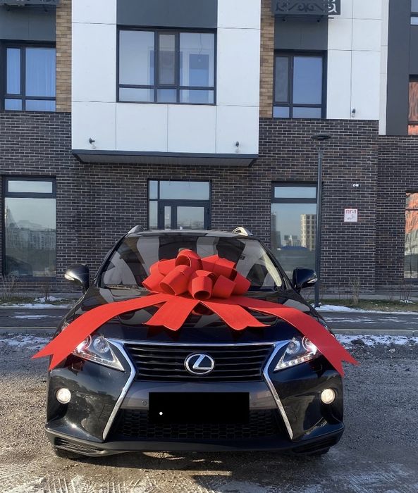 Бант, бантик, автобант для авто