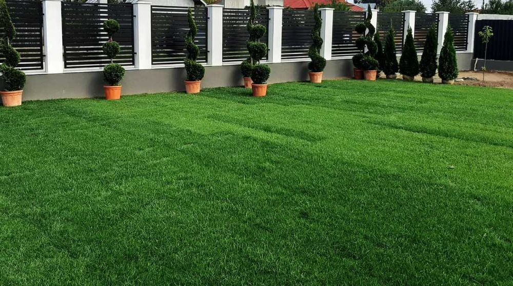 Gazon Verde și Des – Sol Pregătit, Lucrare Curată