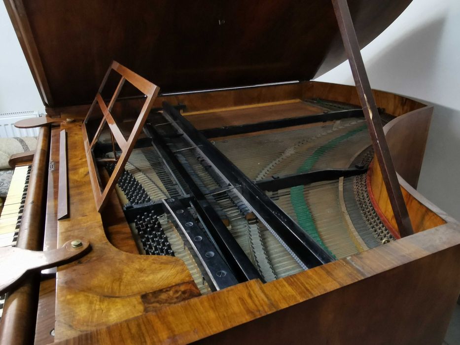 Vand pian cu coada scurta, functional, acordat