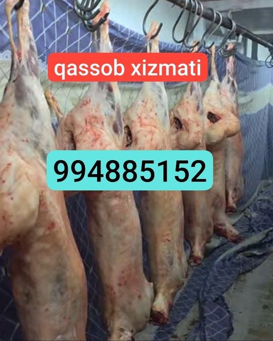 Qassab xizmati  кассоб хмзмати