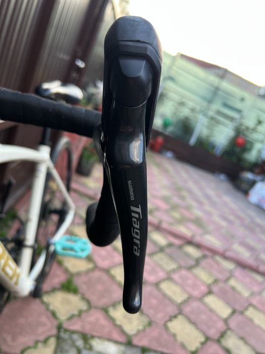 Trek Domane al 4 2023