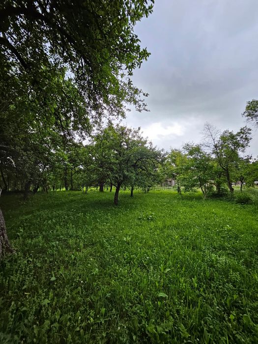 Casa de vânzare în Breb Maramureș