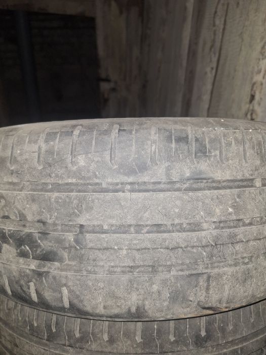 Шины  Continental R15