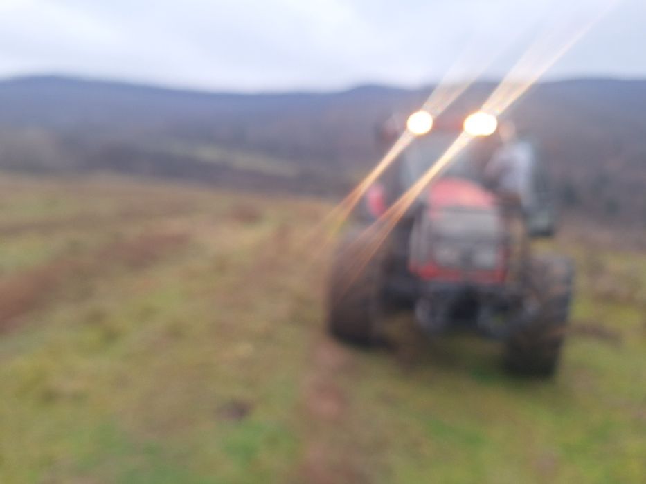 Curatam Defrisam terenuri