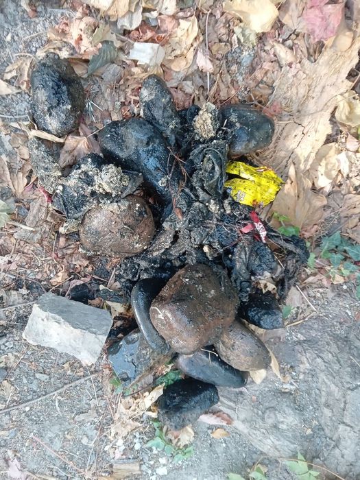 КАНАЛИЗАЦИЯ тозалаш. Чистка канализация