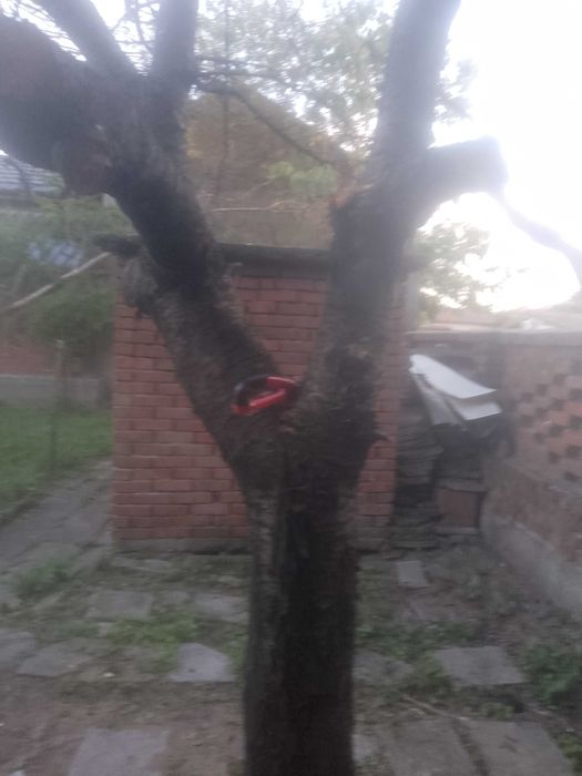 Черешово дърво за мебели