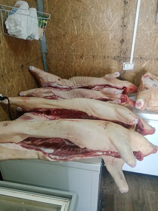 Свинина ( по низкой цене )