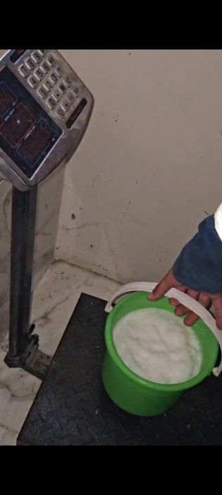 Ешкі сүті бар бозарыкта