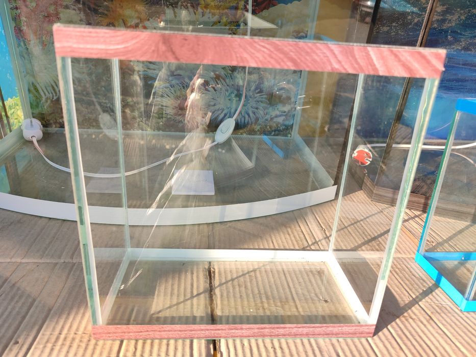 Аквариумы разные