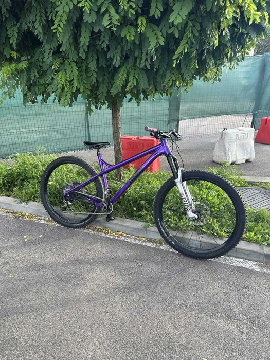 Vand ragley big al marimea XL custom