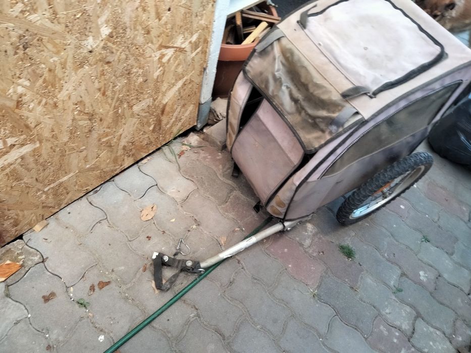 Remorca animale de companie