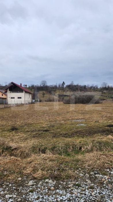 Teren intravilan,comuna Livezile,ocazie buna de investitie!